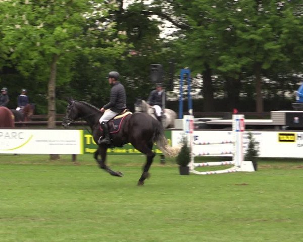 Reitturnier Meppen 2019
