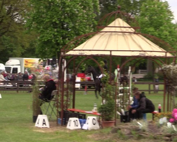 Reitturnier Meppen 2019
