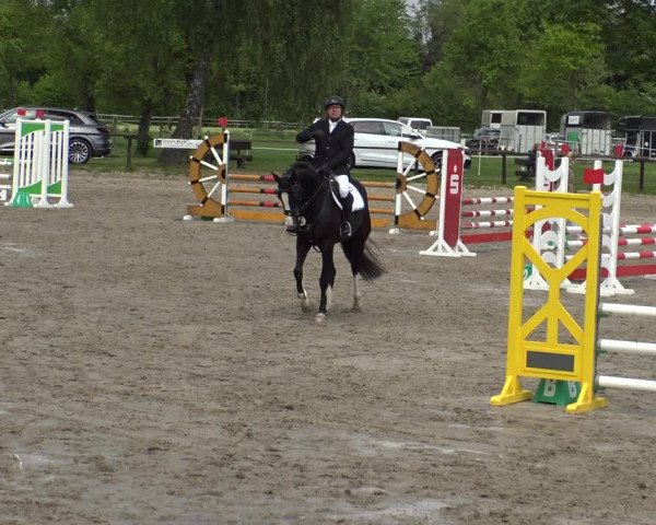 Reitturnier Ahlen 2019