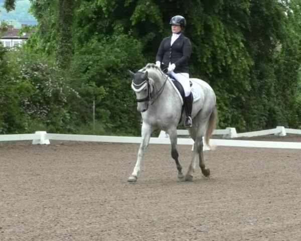 Reitturnier Eppelheim 2019
