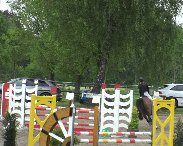 Reitturnier Ahlen 2019