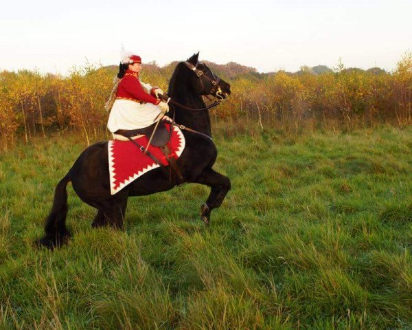 horse Da Capo G (Oldenburg, 1996, from Dream of Glory)