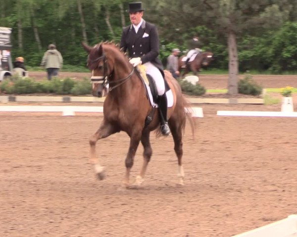Reitturnier Dallgow 2019