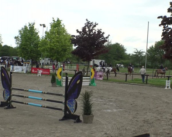 Reitturnier Ahlen 2019