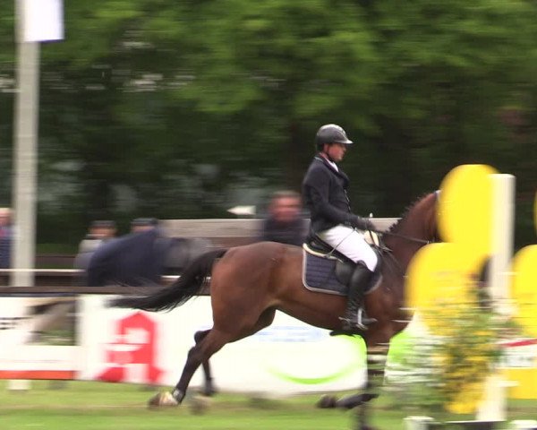 Reitturnier Meppen 2019
