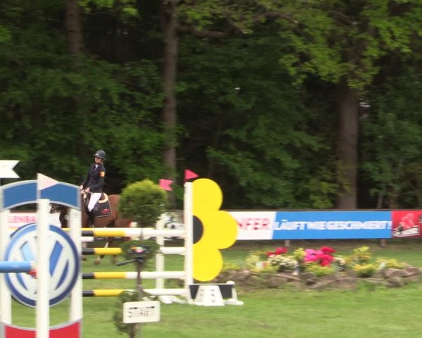 Reitturnier Meppen 2019