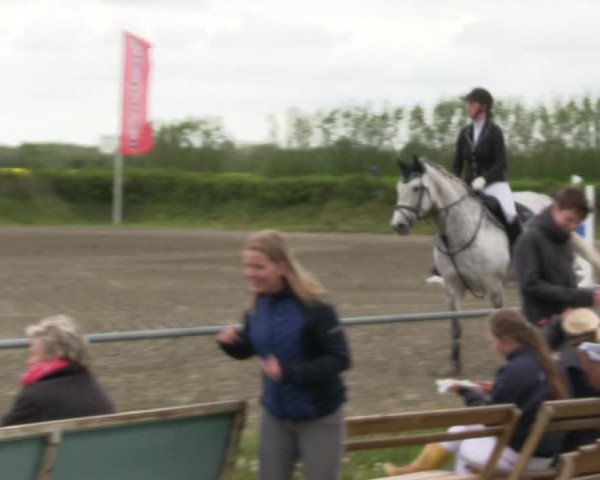 Reitturnier Risum-Lindholm 2019