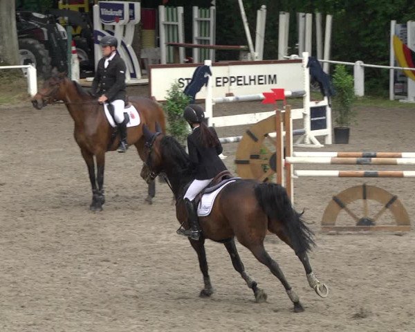 Reitturnier Eppelheim 2019
