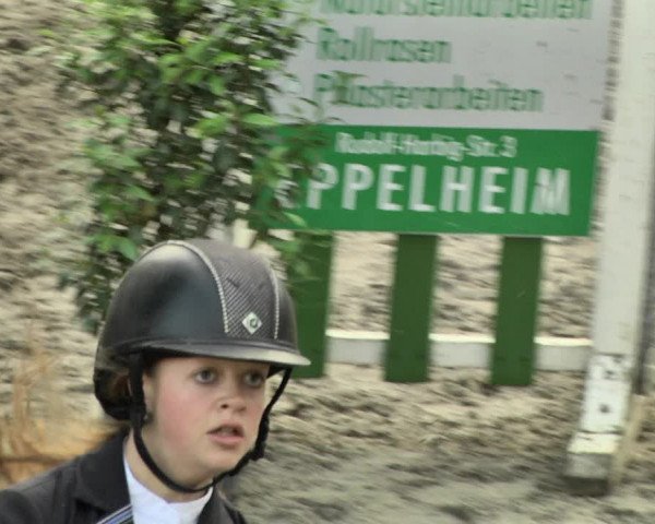 Reitturnier Eppelheim 2019