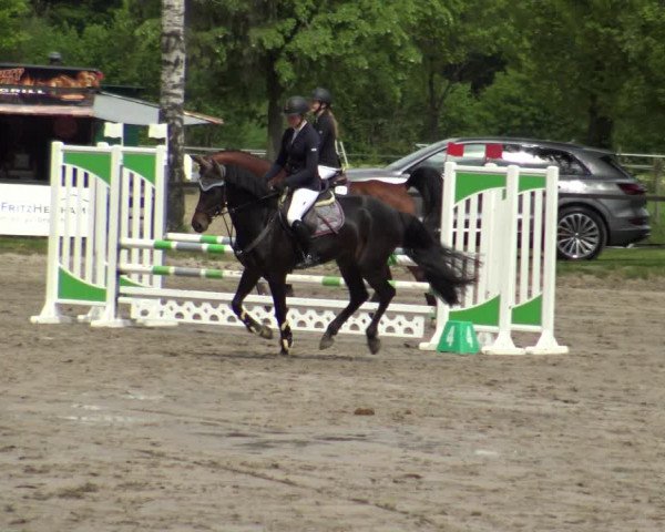 Reitturnier Ahlen 2019