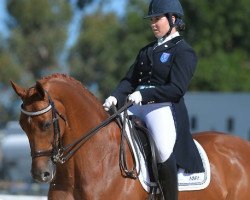 dressage horse Florinzz (unknown, 2006, from Mayfield Pzazz)