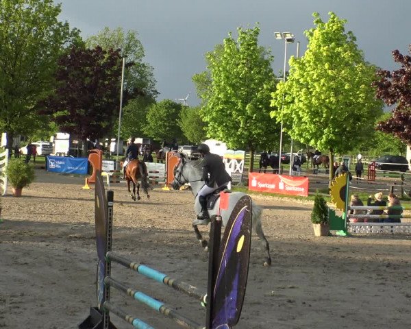 Reitturnier Ahlen 2019