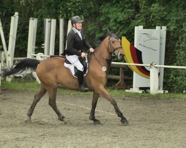 Reitturnier Eppelheim 2019