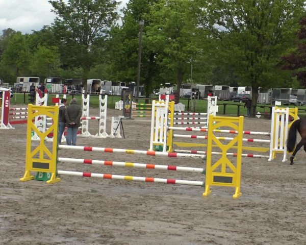 Reitturnier Ahlen 2019