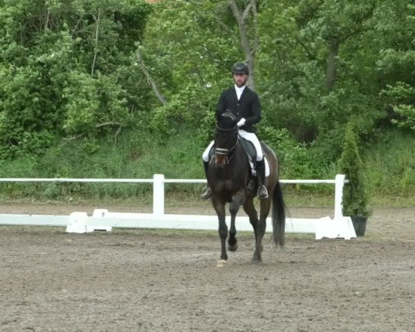 Reitturnier Eppelheim 2019