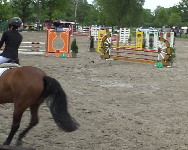 Reitturnier Ahlen 2019