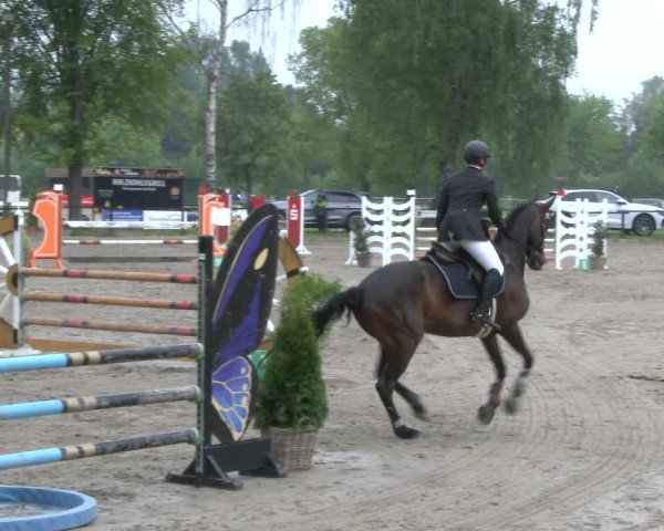 Reitturnier Ahlen 2019