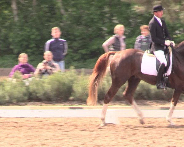 Reitturnier Dallgow 2019