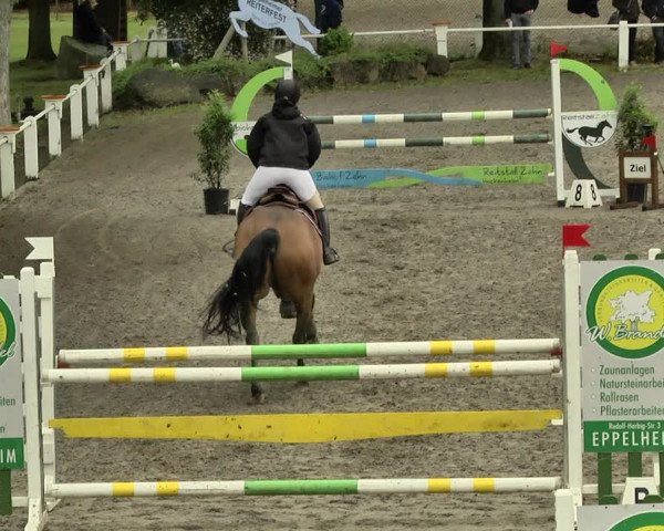 Reitturnier Eppelheim 2019