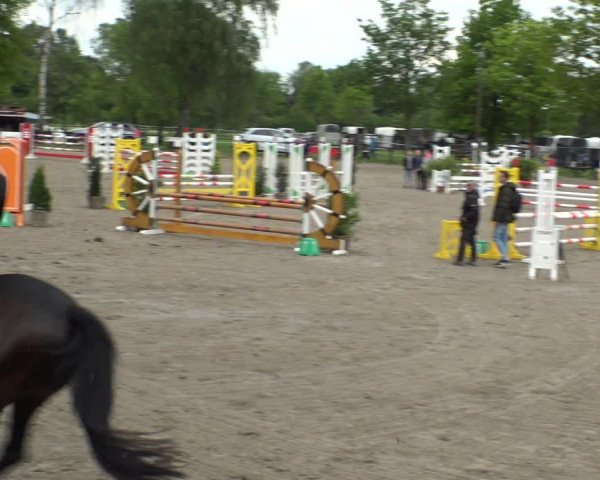 Reitturnier Ahlen 2019