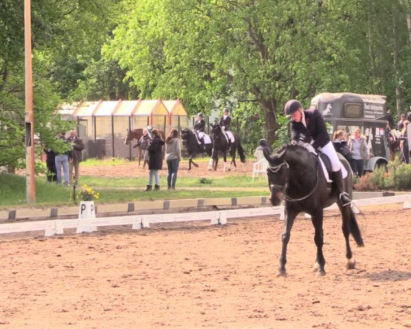 Reitturnier Dallgow 2019
