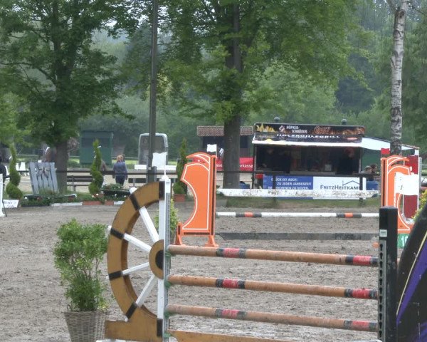 Reitturnier Ahlen 2019