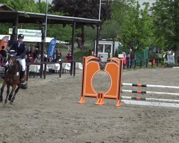 Reitturnier Ahlen 2019