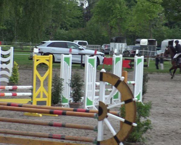 Reitturnier Ahlen 2019