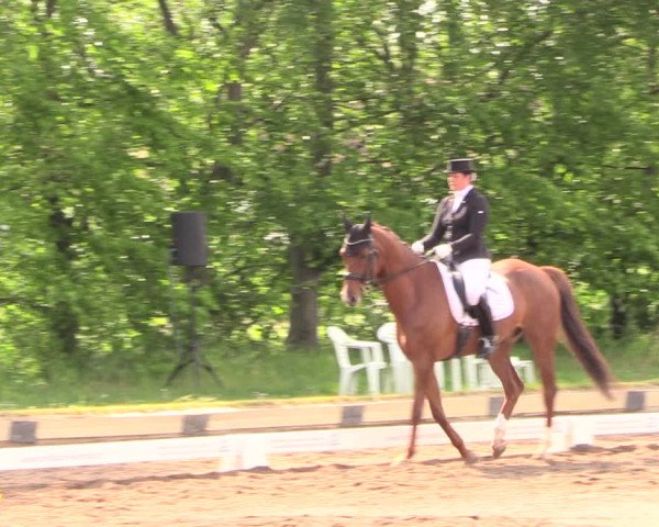 Reitturnier Dallgow 2019