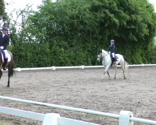 Reitturnier Eppelheim 2019