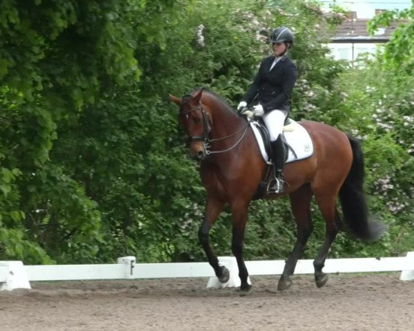 Reitturnier Eppelheim 2019