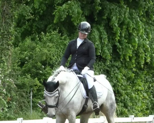 Reitturnier Eppelheim 2019
