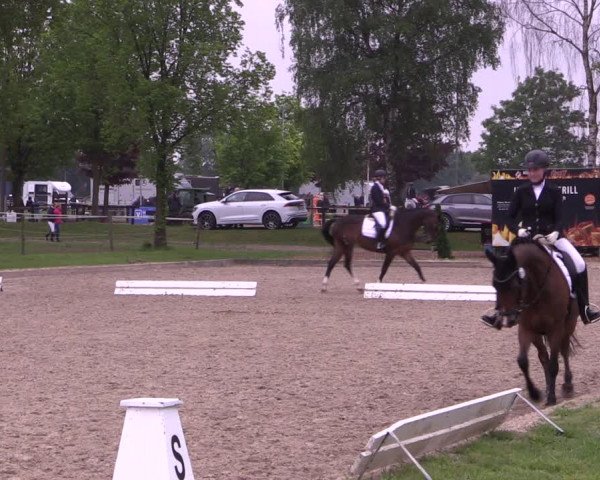 Reitturnier Ahlen 2019