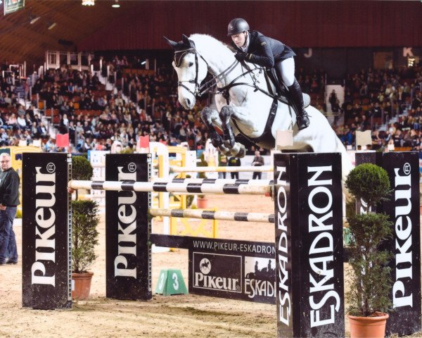 jumper Sir Sandro BS (Holsteiner, 2008, from Sandro Boy)
