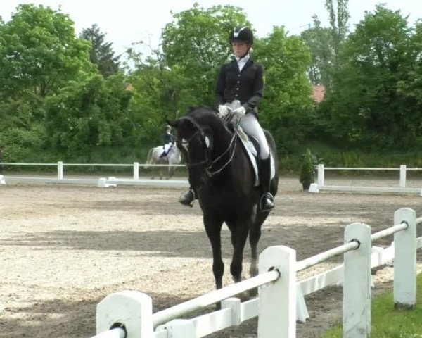 Reitturnier Eppelheim 2019