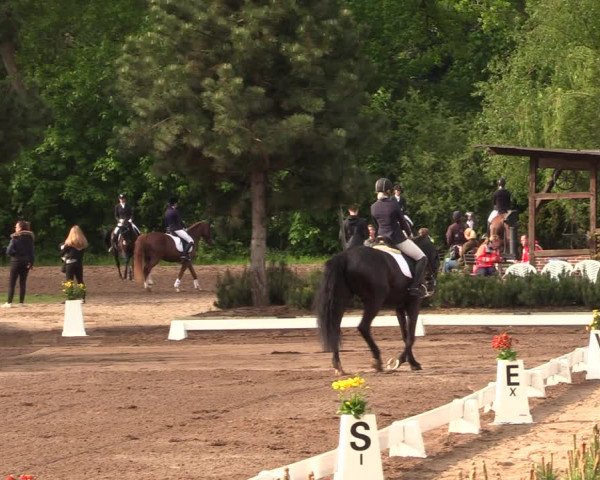 Reitturnier Dallgow 2019