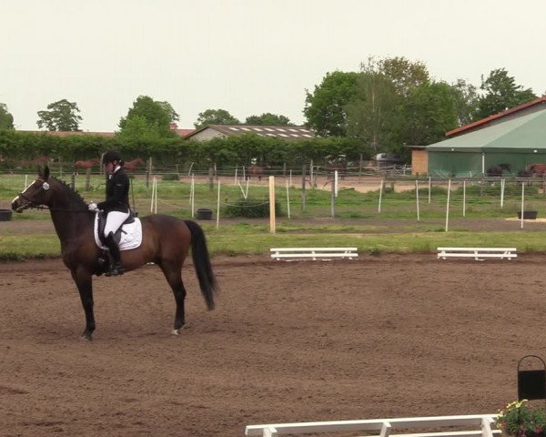 Reitturnier Dallgow 2019