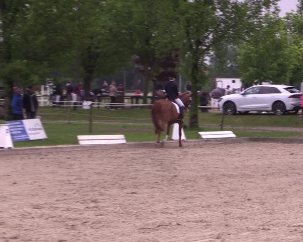 Reitturnier Ahlen 2019