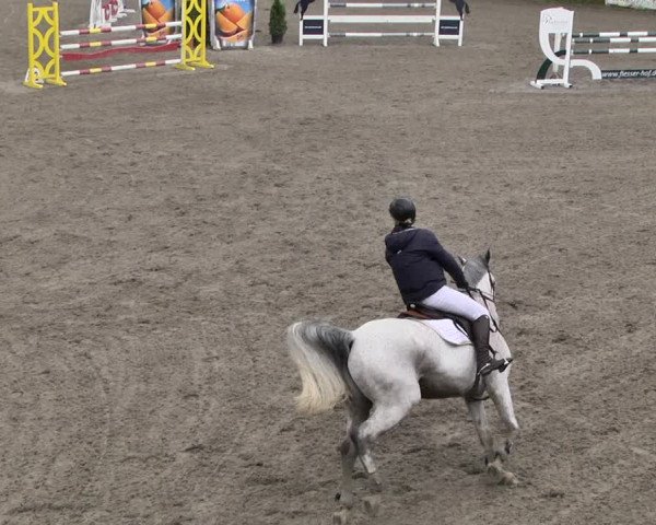 Reitturnier Eppelheim 2019