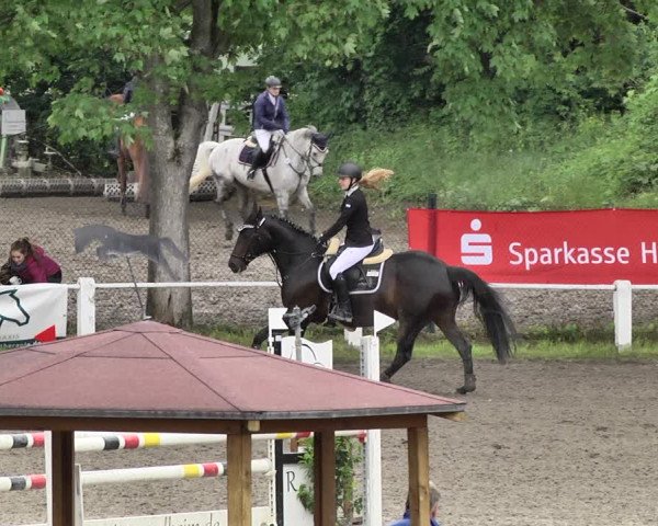 Reitturnier Eppelheim 2019