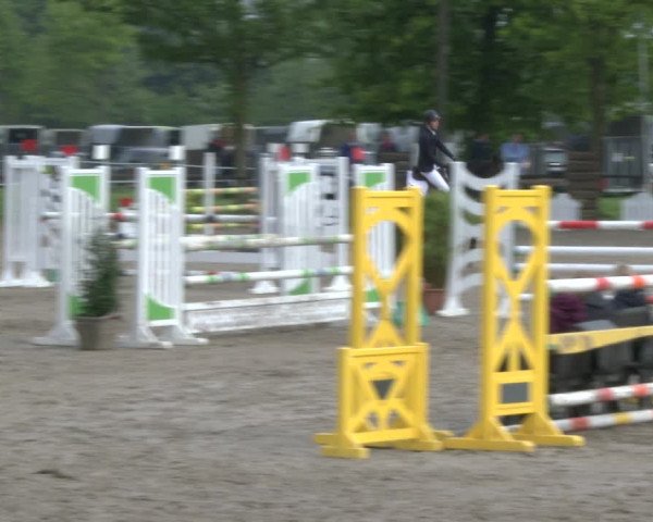 Reitturnier Ahlen 2019
