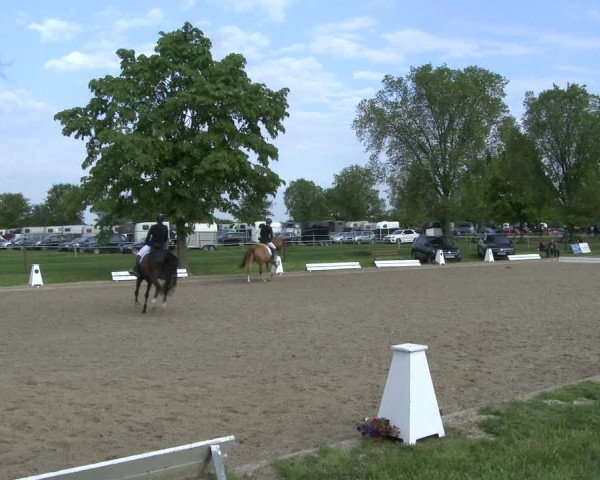 Reitturnier Ahlen 2019