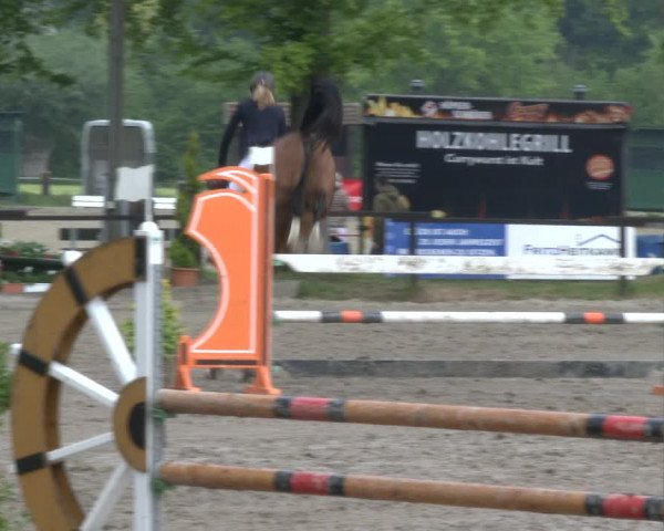 Reitturnier Ahlen 2019