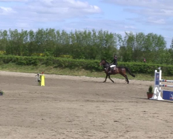 Reitturnier Risum-Lindholm 2019
