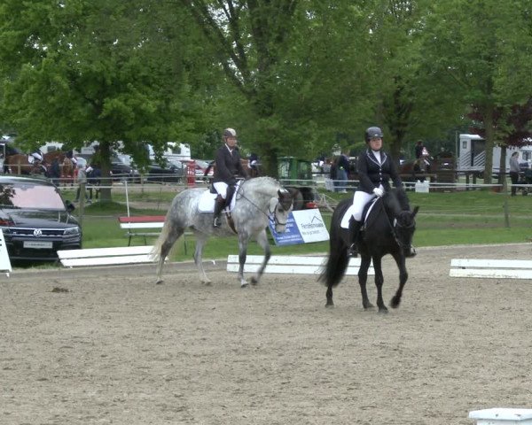 Reitturnier Ahlen 2019