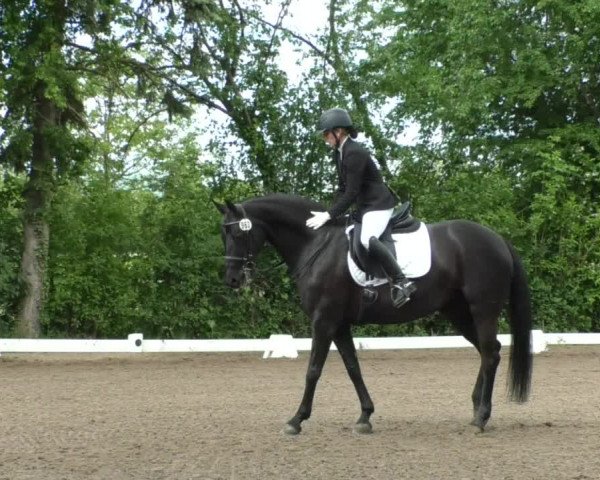 Reitturnier Eppelheim 2019