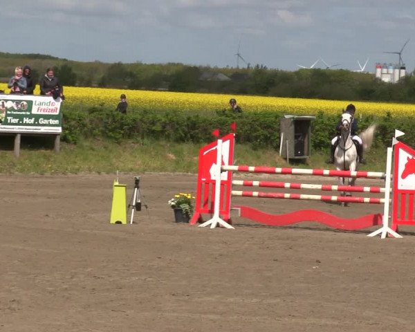 Reitturnier Risum-Lindholm 2019