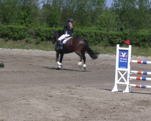 Reitturnier Risum-Lindholm 2019