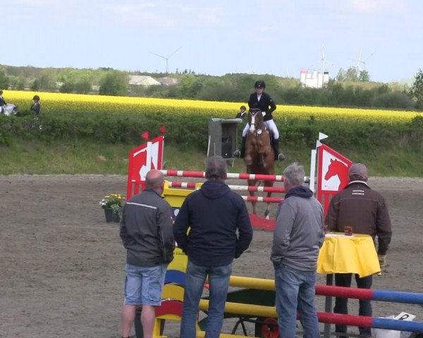 Reitturnier Risum-Lindholm 2019