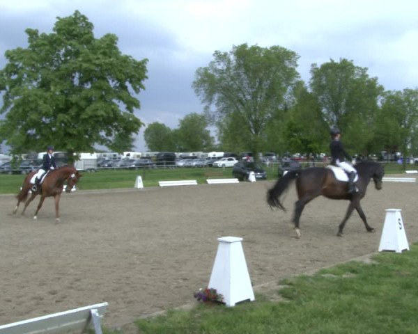 Reitturnier Ahlen 2019